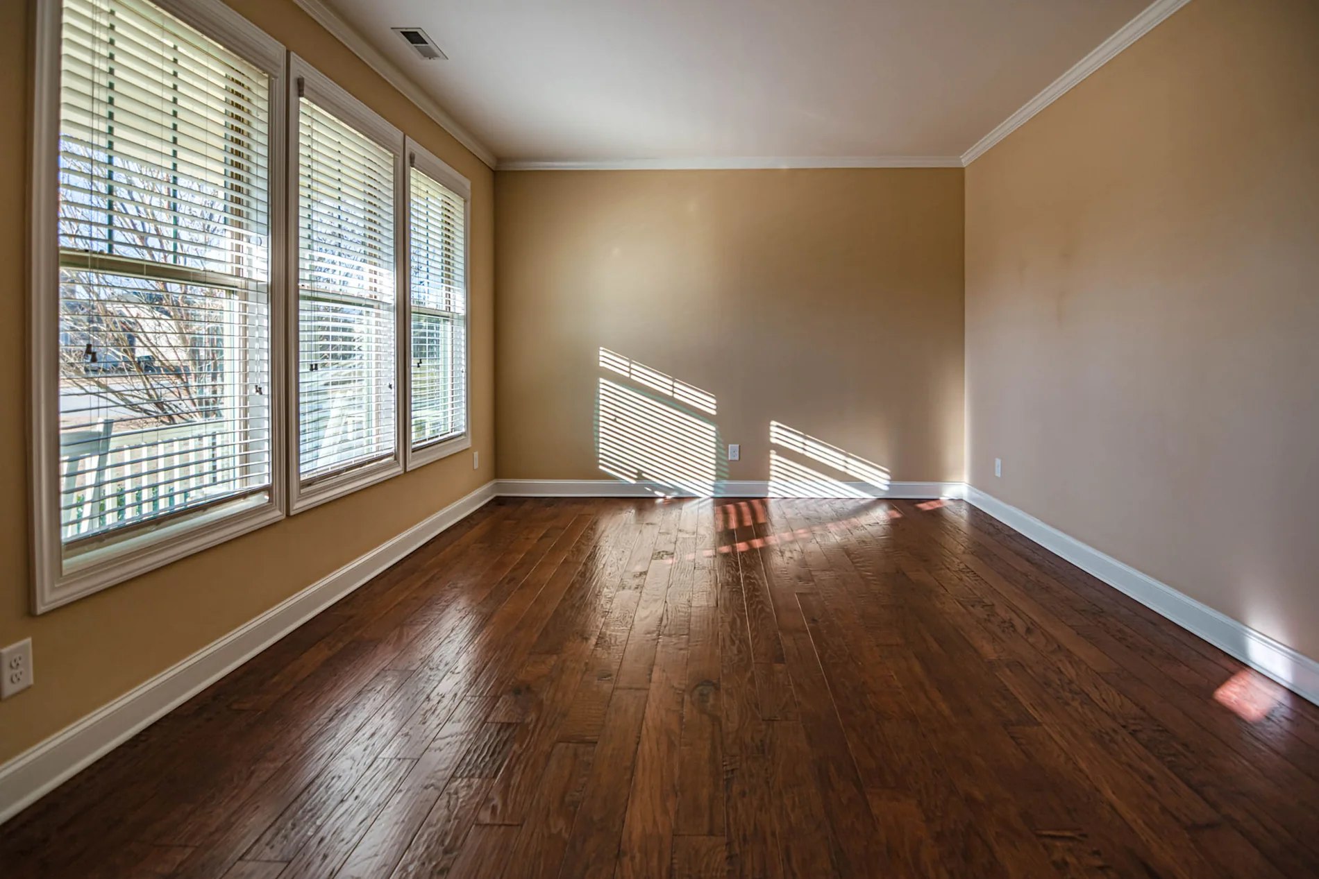 Warm wood flooring in naturally lit interior