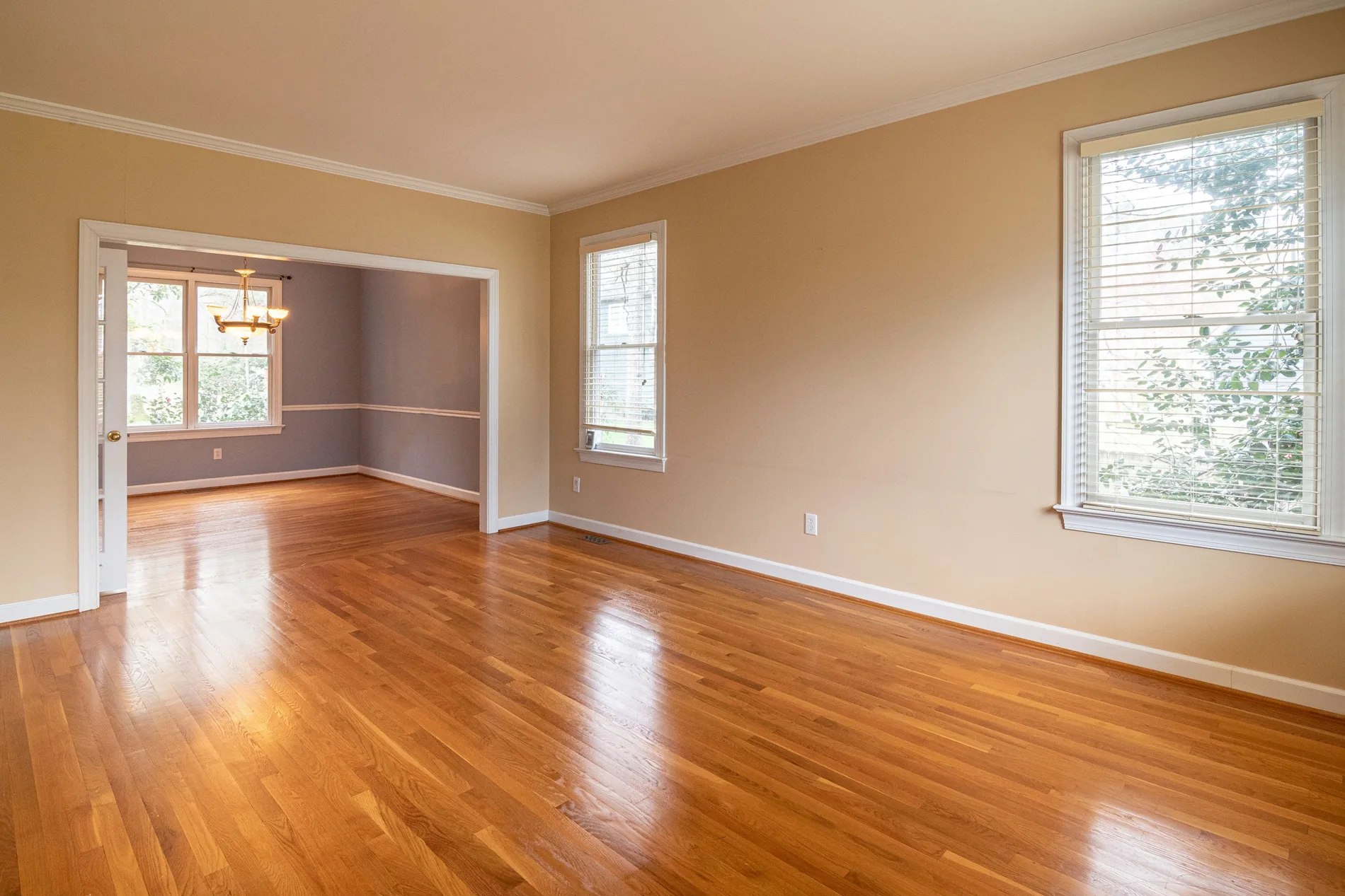 Sunlit residential hardwood floor